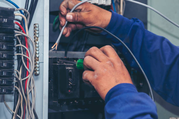 Best Residential Electrician Services  in The Plains, OH