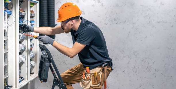 Best Home Electrical Repair  in The Plains, OH